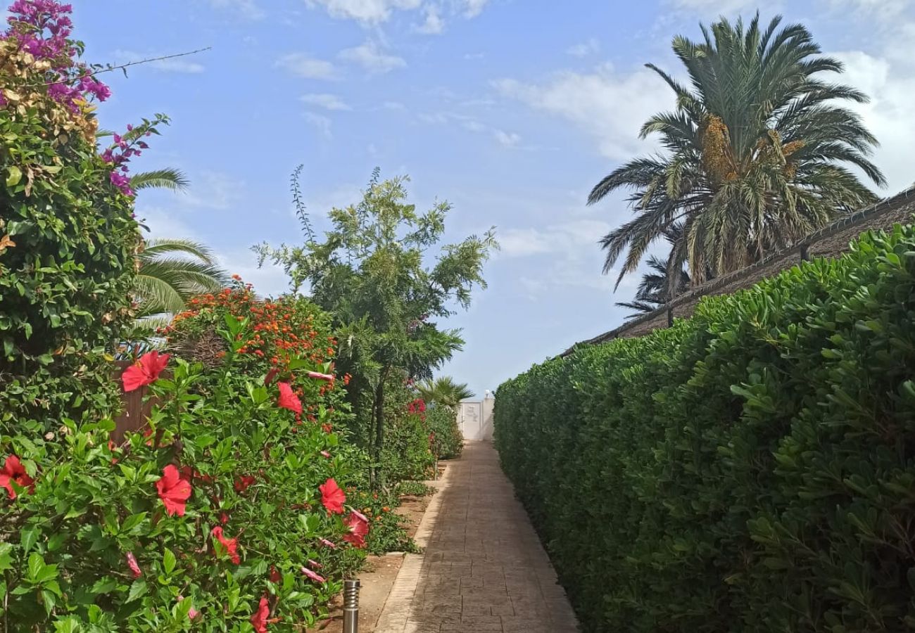 Apartment in Denia - Meridiano 1ª Linea Playa