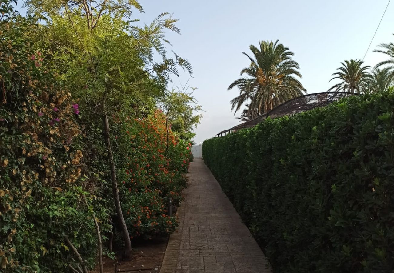 Apartment in Denia - Meridiano 1ª Linea Playa