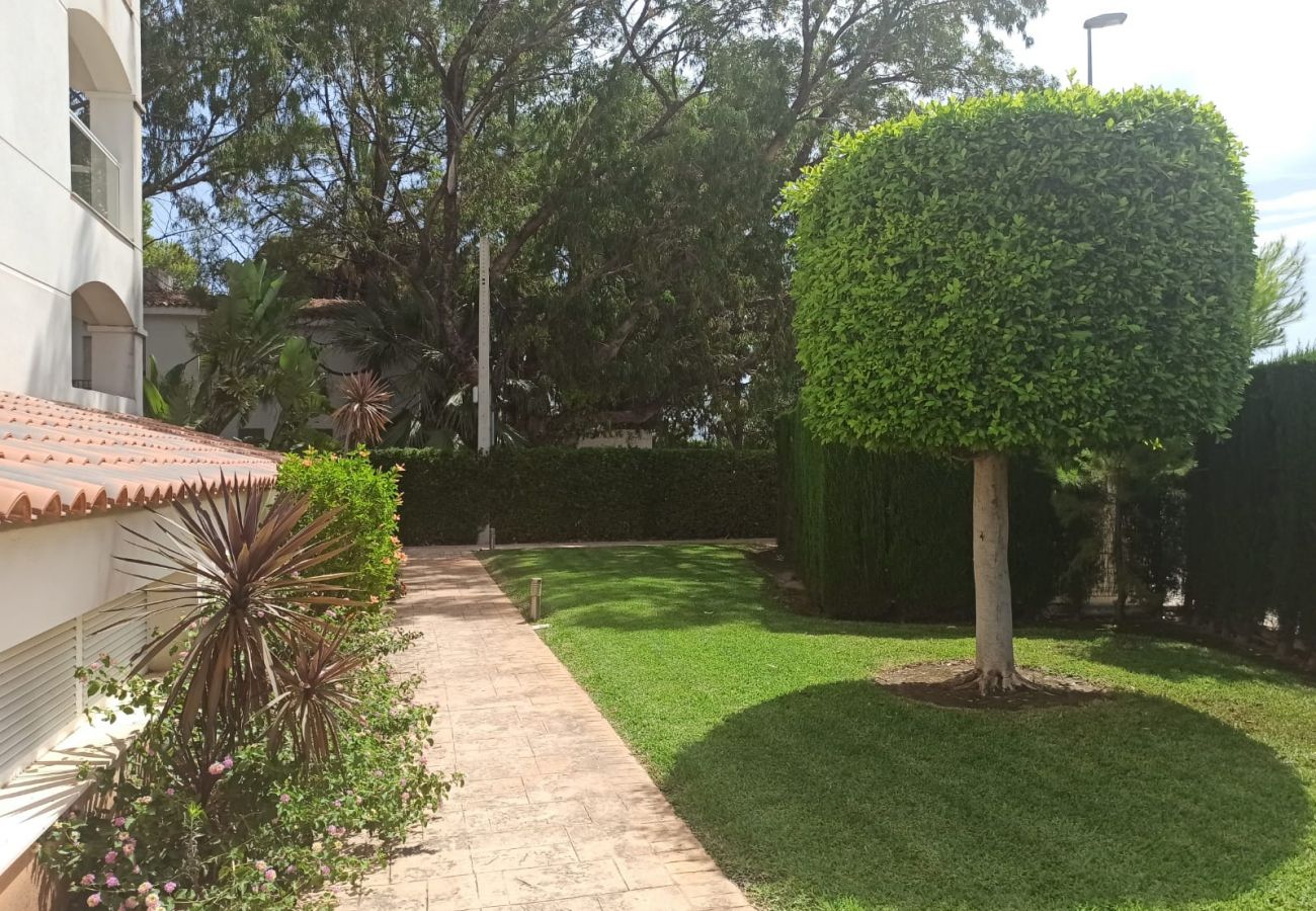 Apartment in Denia - Meridiano 1ª Linea Playa