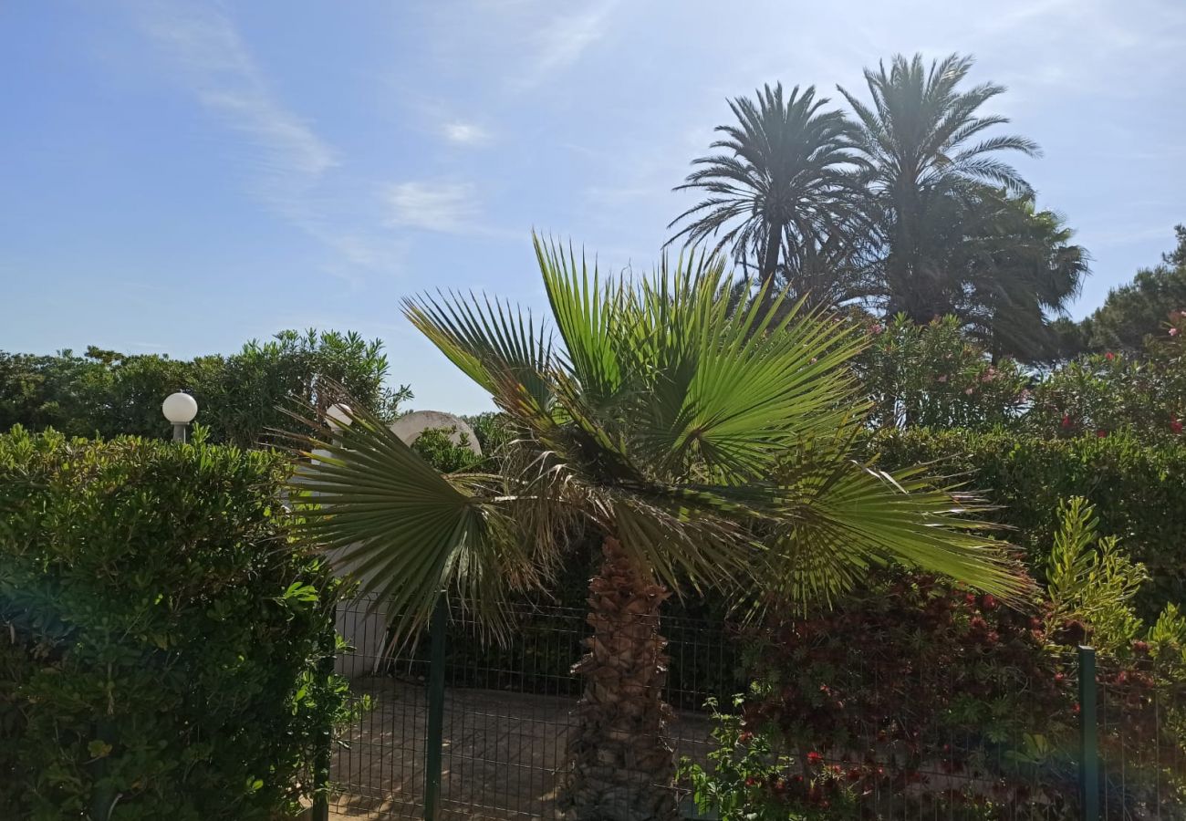 Apartment in Denia - Meridiano 1ª Linea Playa
